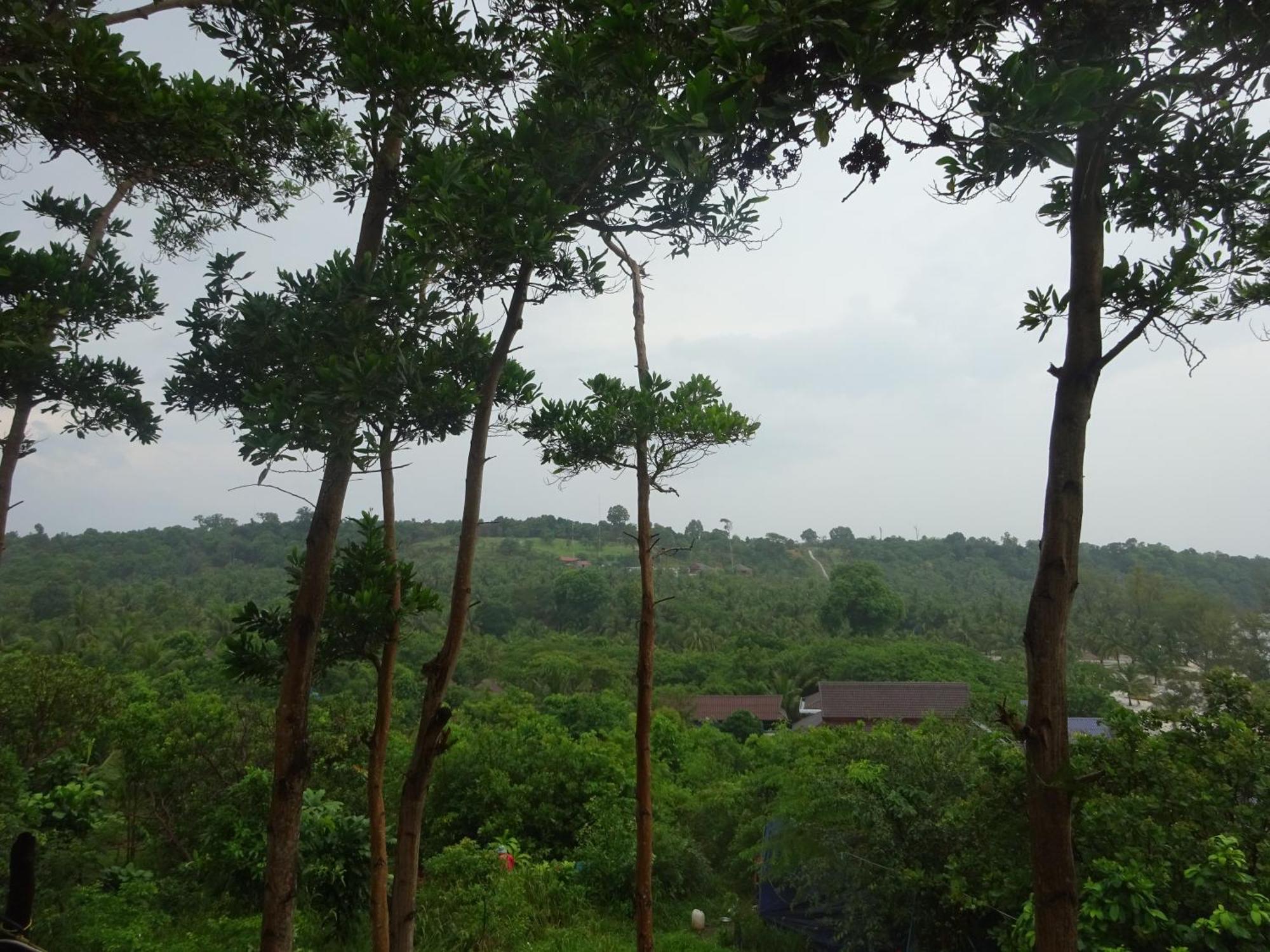 Coconutbeach Bungalows Derm Tkov Village Bilik gambar